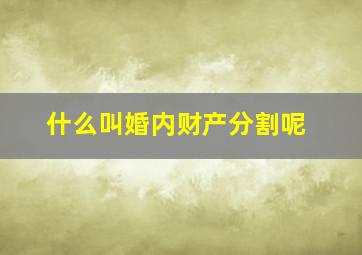 什么叫婚内财产分割呢