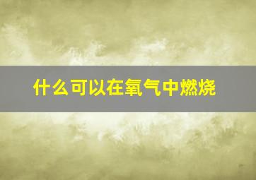 什么可以在氧气中燃烧