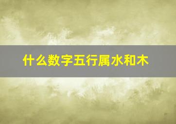 什么数字五行属水和木