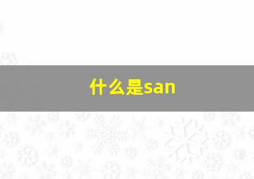 什么是san