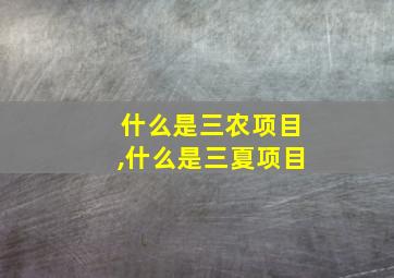 什么是三农项目,什么是三夏项目