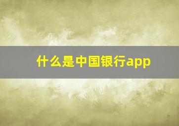 什么是中国银行app