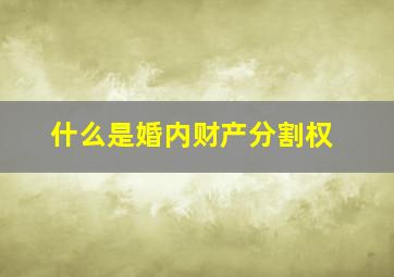 什么是婚内财产分割权