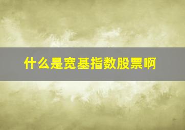 什么是宽基指数股票啊