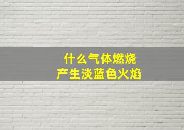 什么气体燃烧产生淡蓝色火焰