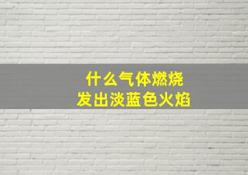 什么气体燃烧发出淡蓝色火焰