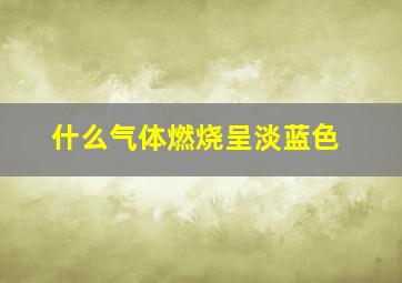 什么气体燃烧呈淡蓝色