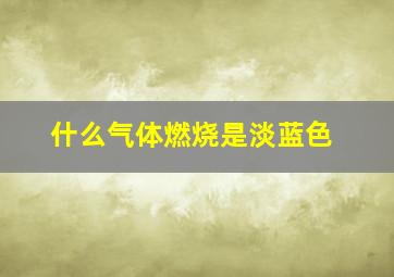 什么气体燃烧是淡蓝色