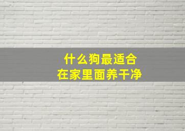 什么狗最适合在家里面养干净