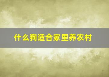 什么狗适合家里养农村