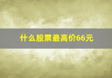 什么股票最高价66元