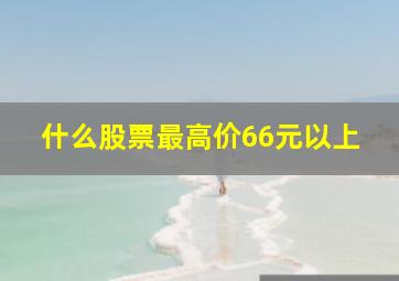 什么股票最高价66元以上