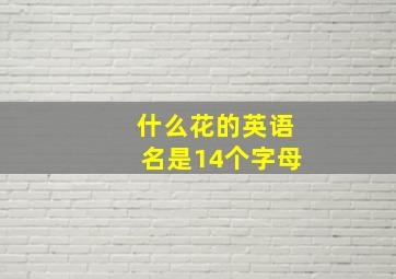 什么花的英语名是14个字母