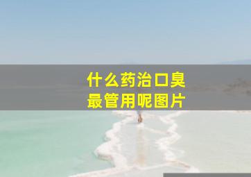 什么药治口臭最管用呢图片