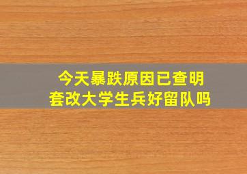 今天暴跌原因已查明套改大学生兵好留队吗