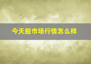 今天股市场行情怎么样