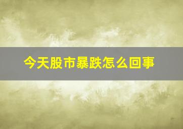 今天股市暴跌怎么回事