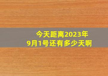 今天距离2023年9月1号还有多少天啊