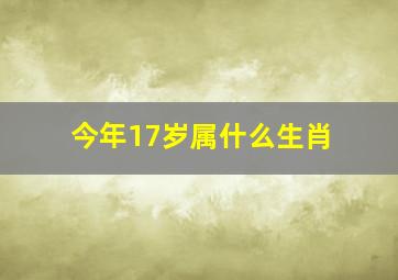 今年17岁属什么生肖