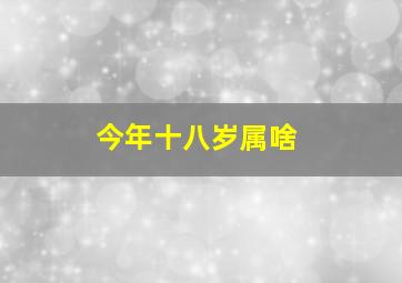 今年十八岁属啥