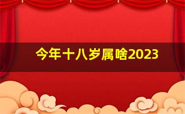 今年十八岁属啥2023