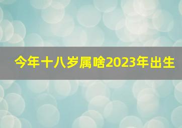 今年十八岁属啥2023年出生