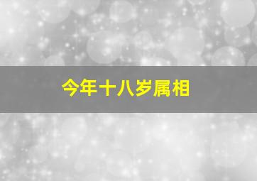 今年十八岁属相