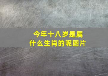 今年十八岁是属什么生肖的呢图片