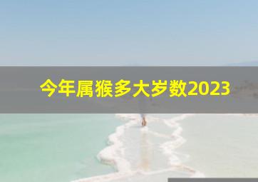 今年属猴多大岁数2023