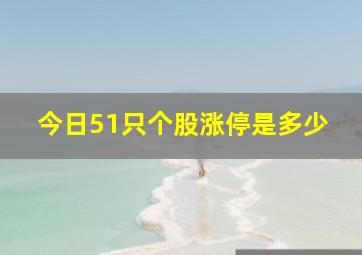 今日51只个股涨停是多少