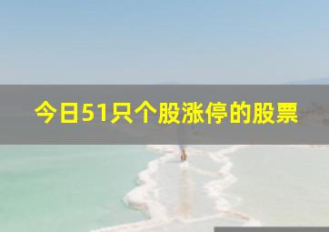 今日51只个股涨停的股票