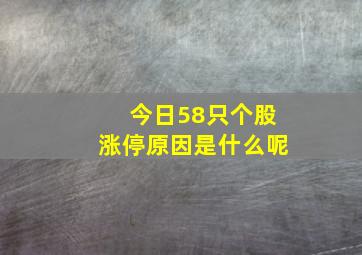 今日58只个股涨停原因是什么呢