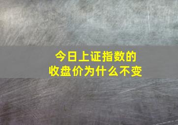 今日上证指数的收盘价为什么不变