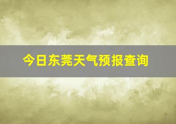 今日东莞天气预报查询