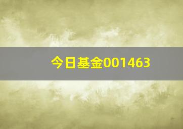 今日基金001463