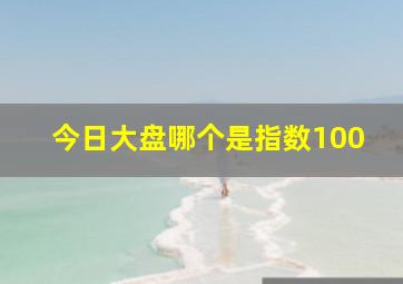 今日大盘哪个是指数100