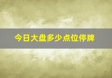 今日大盘多少点位停牌