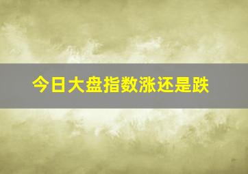 今日大盘指数涨还是跌