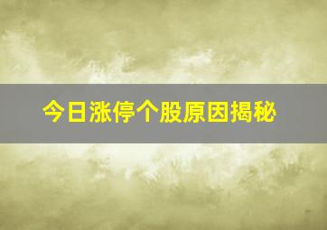 今日涨停个股原因揭秘