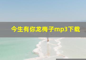 今生有你龙梅子mp3下载