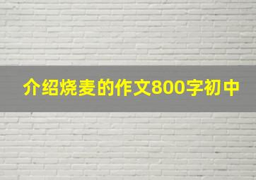 介绍烧麦的作文800字初中