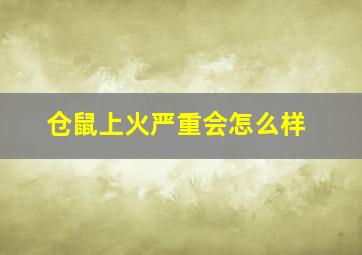 仓鼠上火严重会怎么样