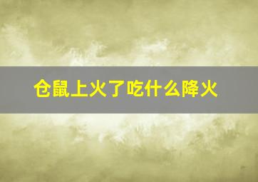 仓鼠上火了吃什么降火