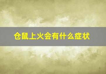 仓鼠上火会有什么症状