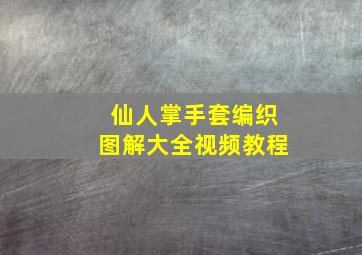 仙人掌手套编织图解大全视频教程