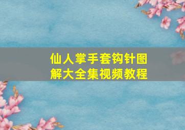 仙人掌手套钩针图解大全集视频教程