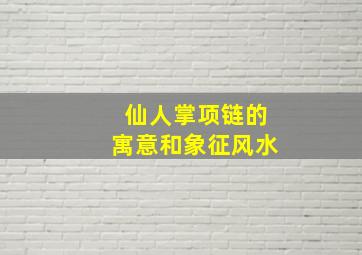 仙人掌项链的寓意和象征风水