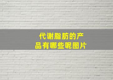 代谢脂肪的产品有哪些呢图片