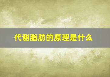 代谢脂肪的原理是什么