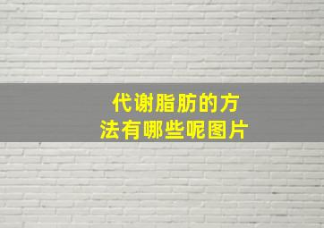 代谢脂肪的方法有哪些呢图片